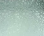 Espuma